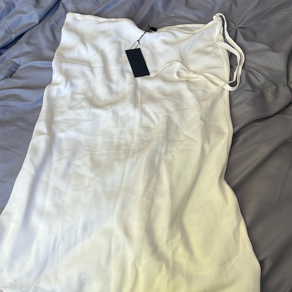 Kes bias silk Skirt nwt size Medium ivory colored